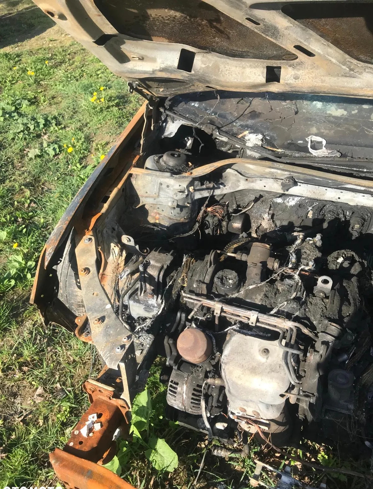 Volkswagen Golf cena 2300 przebieg: 218000, rok produkcji 2011 z Choszczno małe 79
